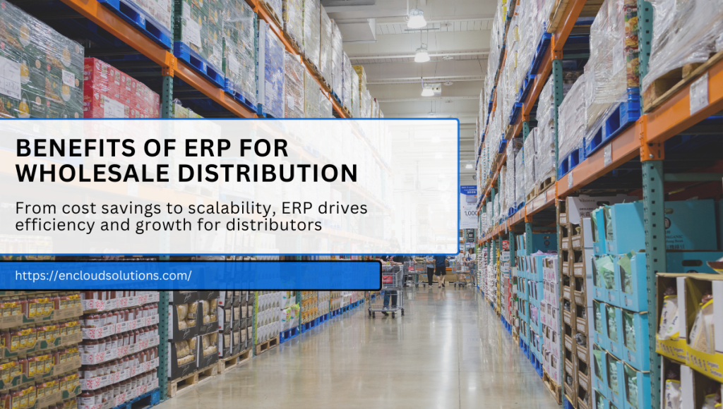 Benefits ERP for Wholesale Distribution