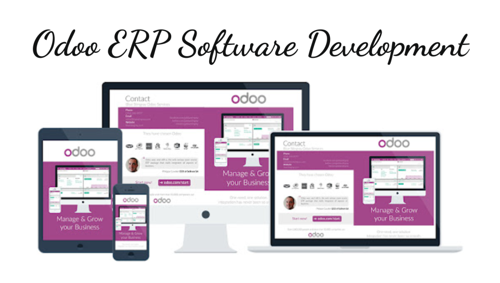 Odoo ERP Software Development Services