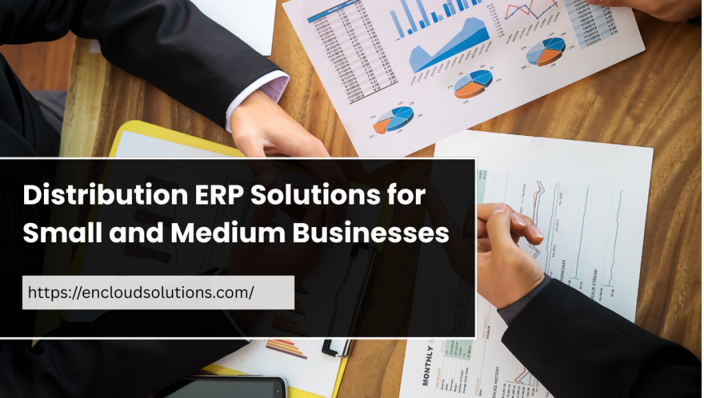 Distribution ERP Solutions for Small and Medium Businesses