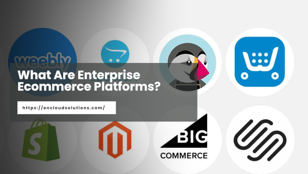 What are Enterprise Ecommerce Platforms