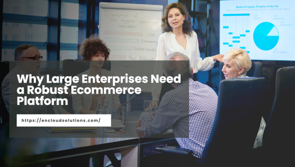 Why Large Enterprises Need a Robust Ecommerce Platforms