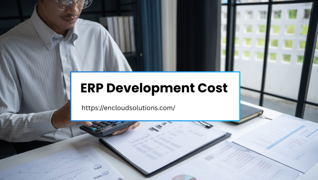 ERP Development Cost