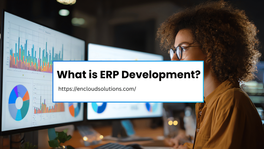 What is ERP Development