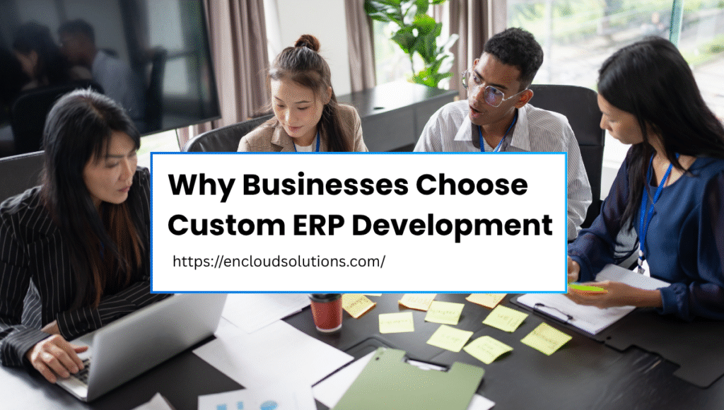Why Businesses Choose Custom ERP Development